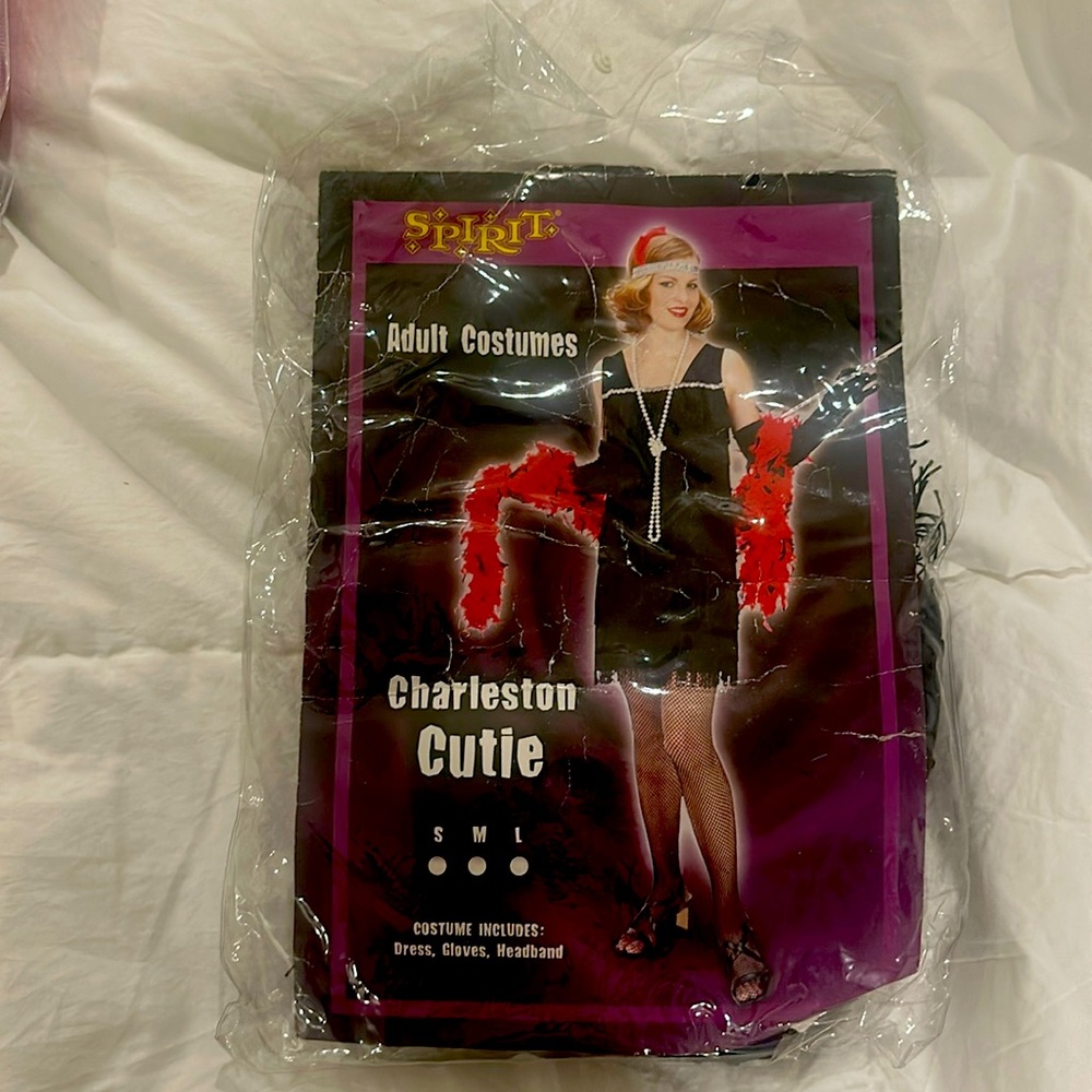 Flapper Halloween Costume